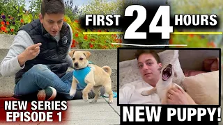 NEW SERIES! My FIRST 24 HOURS Training a NEW PUPPY! Reality Dog Training