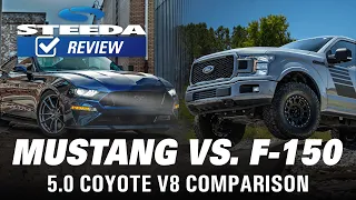 Mustang vs F-150 5.0L Coyote V8 Comparison | Steeda Review