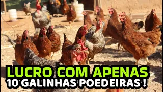 Como GANHAR DINHEIRO COM POUCAS GALINHAS? Veja como lucrar com 10 aves🐔🐓