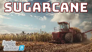 The Sugarcane Harvest! | $0 to $100M Challenge | Farming Simulator 22