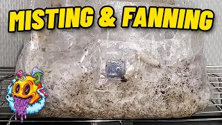 North Spore ShroomTek All In One Bag Misting & Fanning