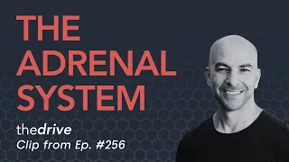 The adrenal system: how it works, cortisol, cortisone, common problems, and more | Peter Attia