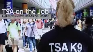 TSA on the Job: Explosives Detection Canine Handler