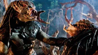 Das Ende Jedes Predator-Films Erklärt