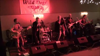 The Wild Dogs Animal Benefit Hall Party May 14, 2016