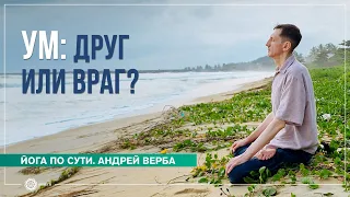 Ум: друг или враг?