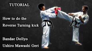 How to do the Reverse turning kick (Ushiro mawashi geri, Bandae dollyo chagy)Best in-depth tutorial