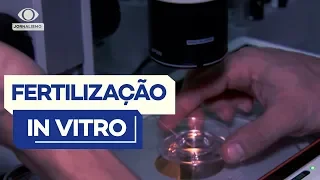 Como funciona a fertilização in vitro