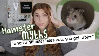 Debunking Hamster Myths!