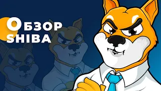 Шутка на миллиард - Обзор токена Shiba 2021 (как мем сделал иксы)