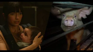 You didn't know did you? Powerful new TV ad campaign for pigs!