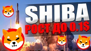 SHIBA - РАЗВОРОТ ТРЕНДА! УСПЕЙ КУПИТЬ! Шиба Ину ВАЖНЫЕ новости 2022, Shiba Inu!