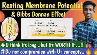 Resting Membrane Potential || MBBS First Year || Nerve Muscle Physiology|| Lectures|| hindi ||Ashish