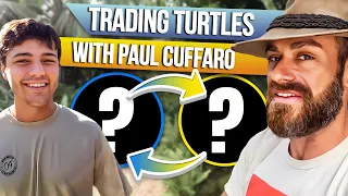 I made a BIG turtle TRADE with Paul Cuffaro!