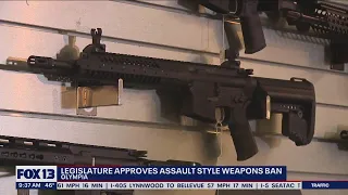 Legislature approves assault style weapons ban