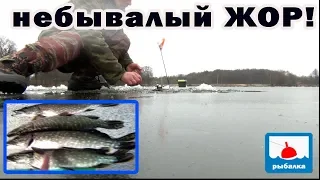 Небывалый жор щуки! Рыбалка на жерлицы и мормышку