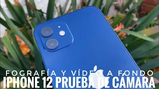 Cámara iPhone 12 - ¿Realmente es tan Buena?