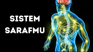 Perjalanan Menembus Sistem Sarafmu