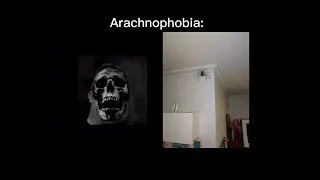 Mr.Incredible becoming Uncanny (Arachnophobia)