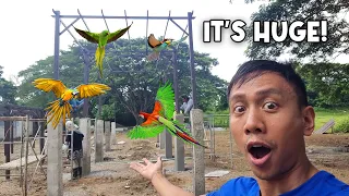Our New Outdoor Parrot Aviary Is Huge | Vlog #1667