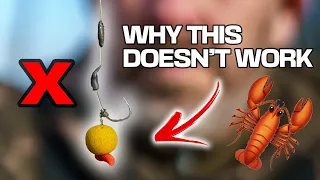 This Is Why Your Rig Isn't Working! 🤯😱 Crayfish Avoidance 🦞 | Fox International