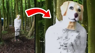 TERRIFYING Things Found In The Woods