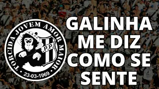 Galinha Me Diz Como se Sente | TORCIDA JOVEM PONTE | Letras | Ponte Preta