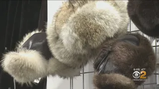 Proposed NYC Fur Ban Sets Off Backlash From Industry