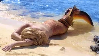 Real Life Mermaid Melissa Footage on Tropical Island