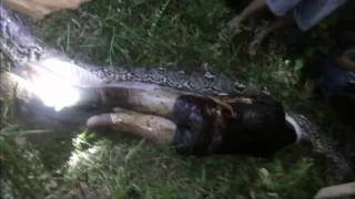 MAN EATEN BY SNAKE!