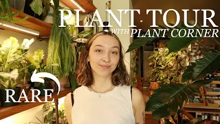 finding ACTUALLY rare houseplant varieties at a nyc houseplant shop! | shopping tour