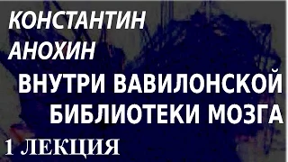 ACADEMIA. Константин Анохин. Внутри Вавилонской библиотеки мозга. 1 лекция. Канал Культура