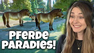 Wir bauen ein Paradies für unsere Pferde! - Planet Zoo Muckelzoo (Stream vom 15.03.2023)