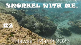 Snorkel With Me #2 - Hawaii, March 2023