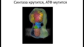 Сергиев П.В. Молекулярные машины