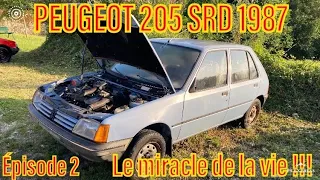 BARN FIND PEUGEOT 205 SRD 1987 : le miracle de la vie !!!