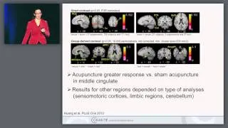 Neuroimaging and Stimulation Studies