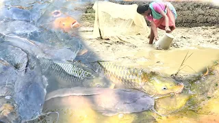 Amazing Village Jhita Fishing /  Village Wife Kuni  A Drain Fishing / Fishing Video 2024