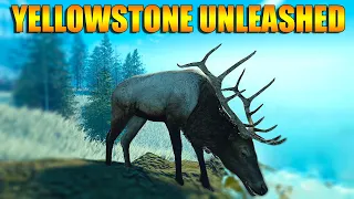 Surviving Solo in Yellowstone Unleashed