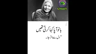 best urdu quotes|Bano Qudsia |best urdu lines#urdu #urduhaimeranaam#urdulines #urdushayari