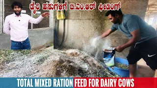 Total Mixed Ration (TMR) for Dairy Cows | Preparation of TMR Feed | Best Feed for Dairy Cows