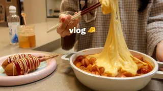 24hours Vlog of home-lover, Home alone party making cheese tteokbokki after work with lunchbox