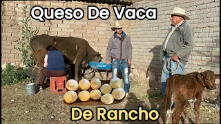Así Se Hacen Los Quesos De La Leche De Las Vacas En El Rancho.🤠🥛🐄🧑‍🌾🧀🌱
