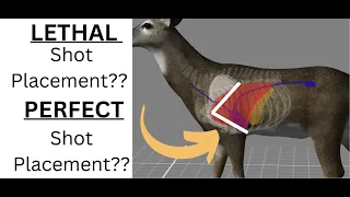 Bowhunting Shot Placement “Vital V”