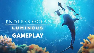 Endless Ocean Luminous - Dive Gameplay (Nintendo Switch)