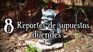 8 Supuestos Duendes captados en VIDEO