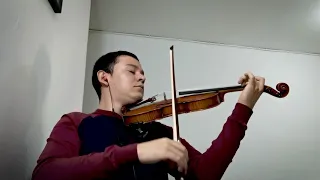 Les Choristes - Caresse sur l'océan Violin Version