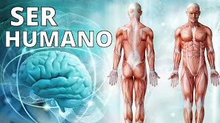 ¿Qué es el SER HUMANO? Origen, características, etapas de la vida, sentidos, necesidades🙍‍♂️