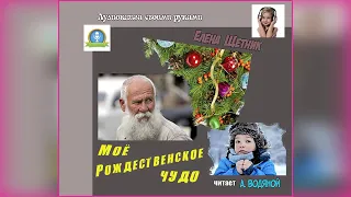 Е. Щетник. Моё Рождественское чудо (быль) - чит. Александр Водяной