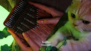 Sweden, Minecraft - Kalimba cover.